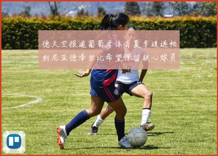 德天空报道葡萄牙体育夏季追逐帕利尼亚德泽尔比希望保留核心球员